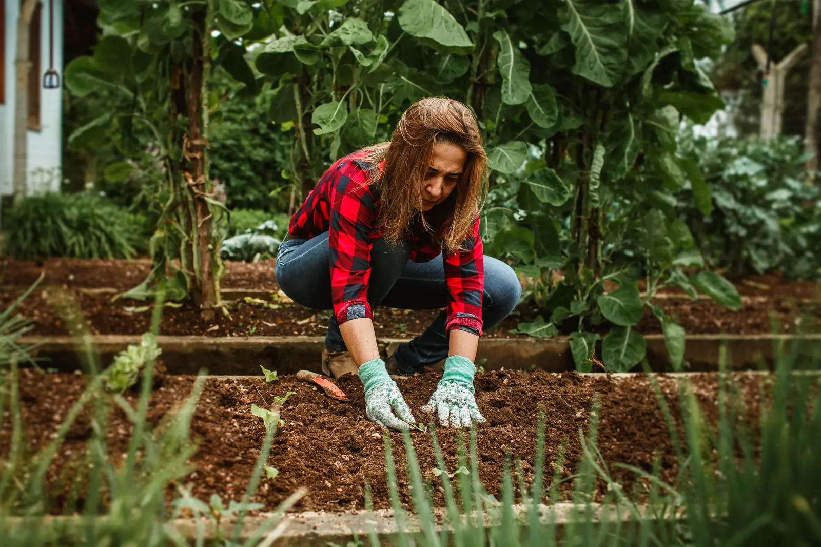 A Fernhollow gardener kneeling in a planted bed, pressing a seedling into dark soil with gloved hands