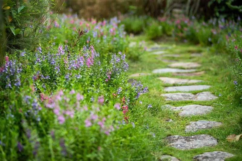 Flat stepping stones through a bed of wildflowers and grass