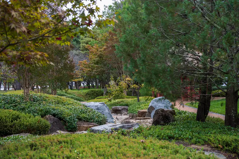 A planted stormwater channel of stones and moss winding between shrubs and trees