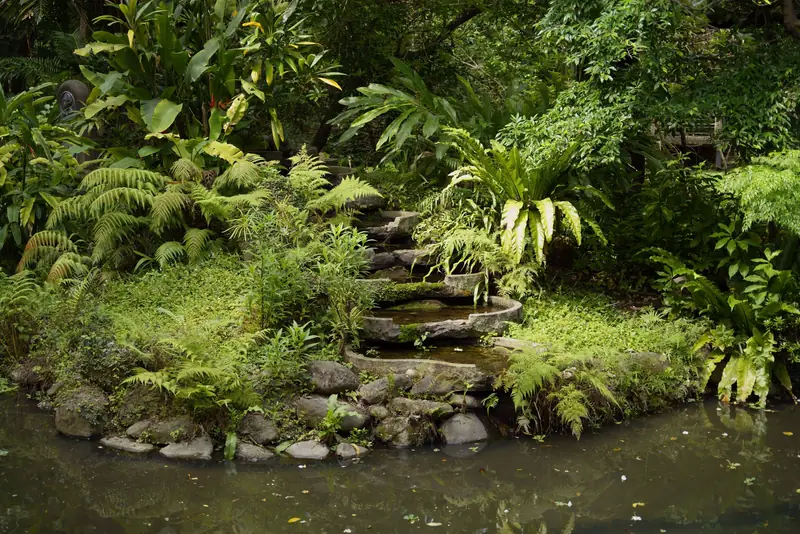 Mossy stone steps climbing between ferns beside a small pool