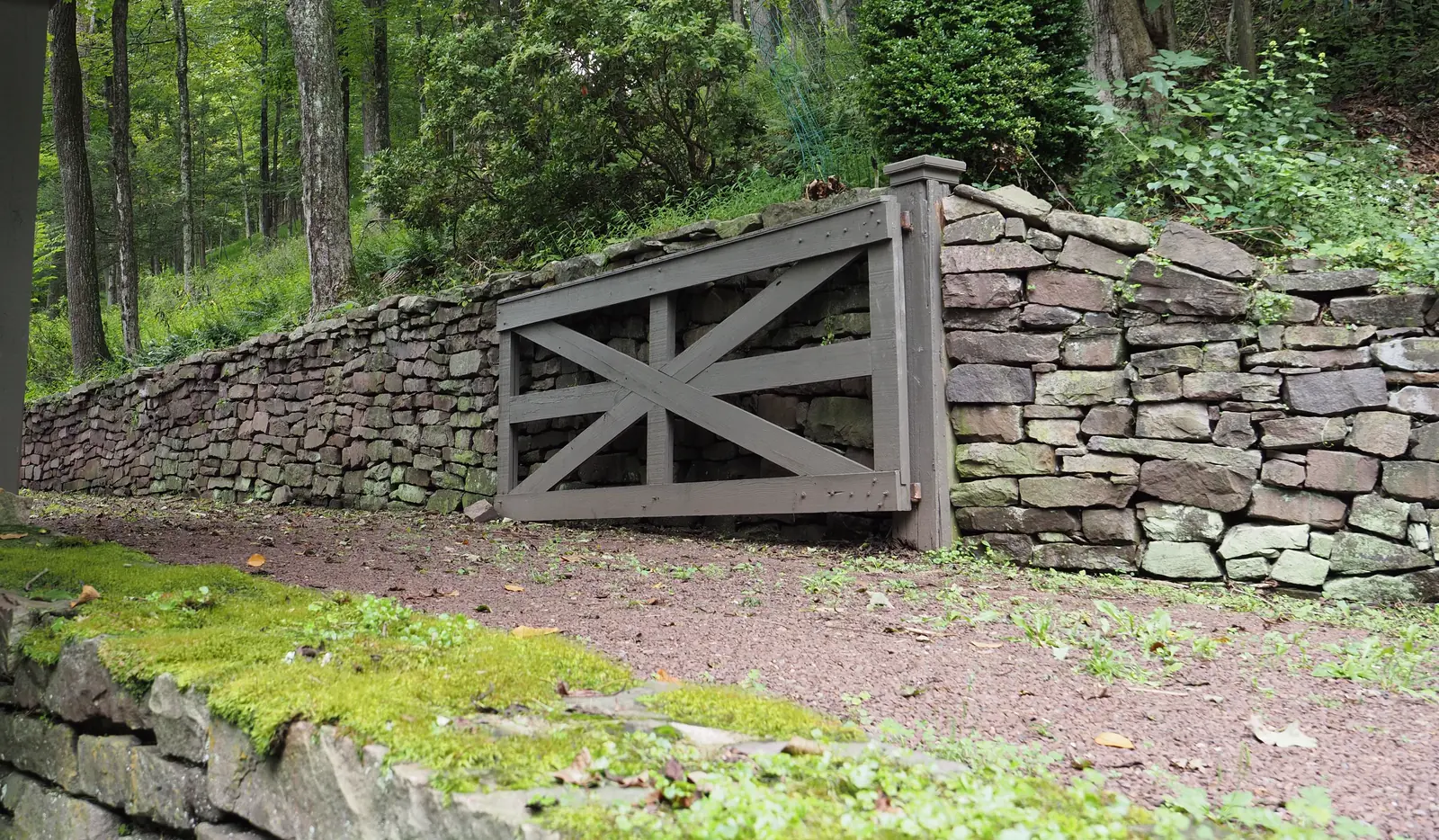 A dry-stacked fieldstone retaining wall with a timber gate at the edge of a mossy woodland